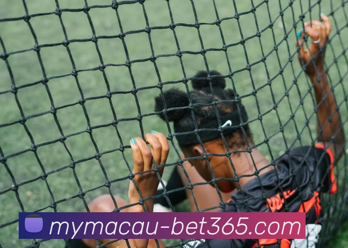 数据防护可视化